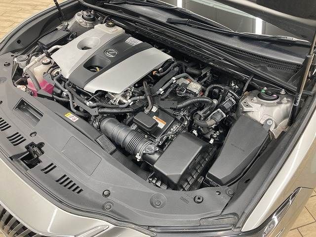 TOYOTA LEXUS ES300H 2019 Image 31
