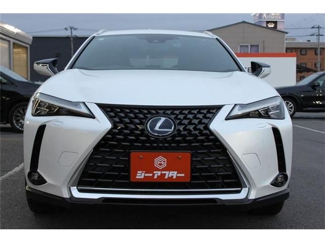 TOYOTA LEXUS UX250H 2019 Image 31