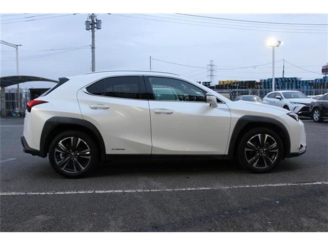 TOYOTA LEXUS UX250H 2019 Image 31