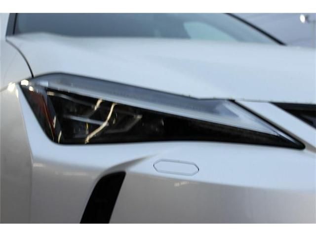 TOYOTA LEXUS UX250H 2019 Image 31