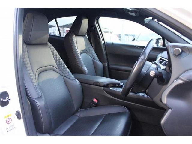 TOYOTA LEXUS UX250H 2019 Image 31