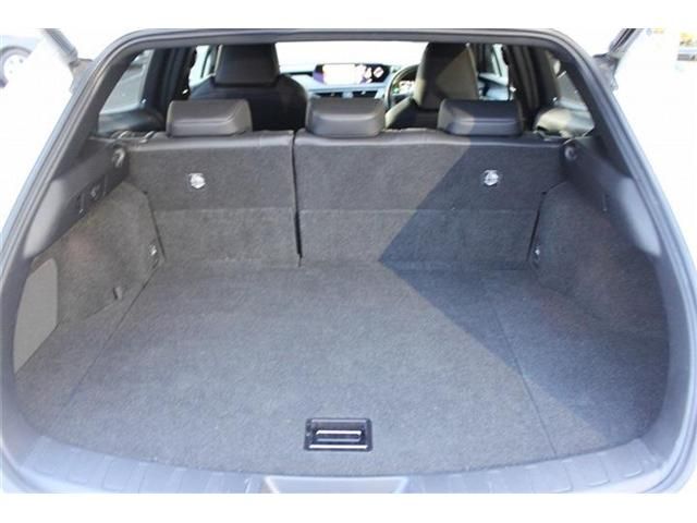 TOYOTA LEXUS UX250H 2019 Image 31