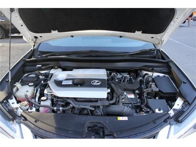 TOYOTA LEXUS UX250H 2019 Image 31