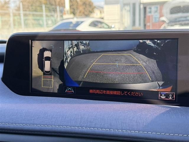 TOYOTA LEXUS UX300E 2021 Image 31