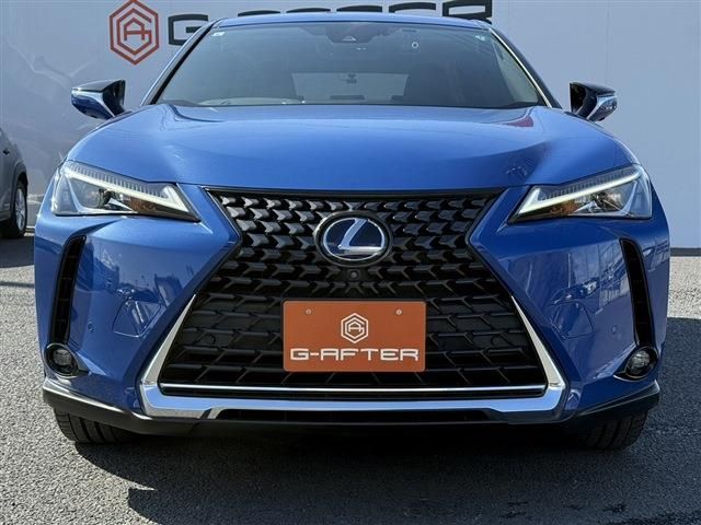 TOYOTA LEXUS UX300E 2021 Image 31