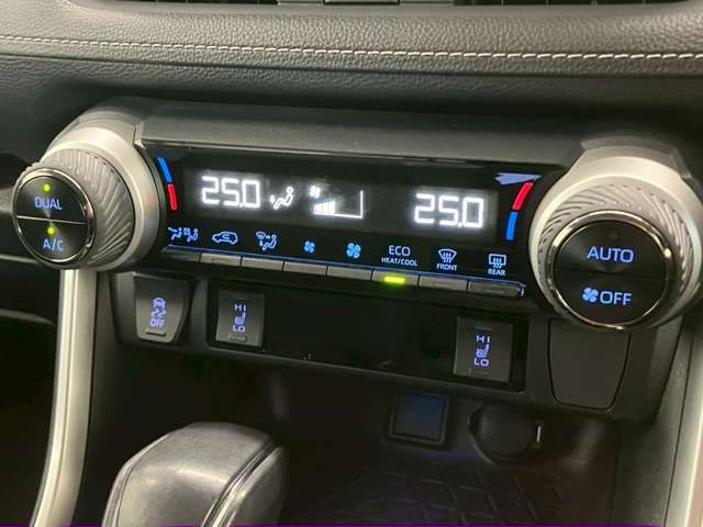 TOYOTA RAV4 4WD 2019 Image 31
