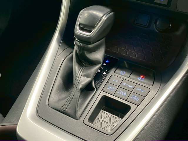 TOYOTA RAV4 4WD 2019 Image 31