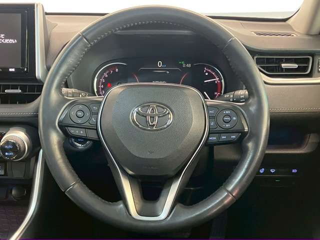 TOYOTA RAV4 4WD 2019 Image 31