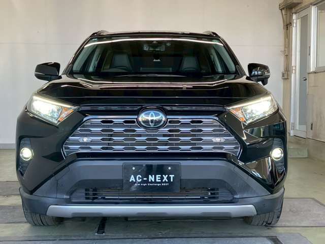 TOYOTA RAV4 4WD 2019 Image 31
