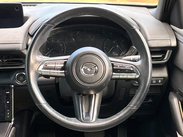 MAZDA MX-30 2020 Image 31