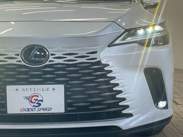 TOYOTA LEXUS RX350H 2023 Image 31