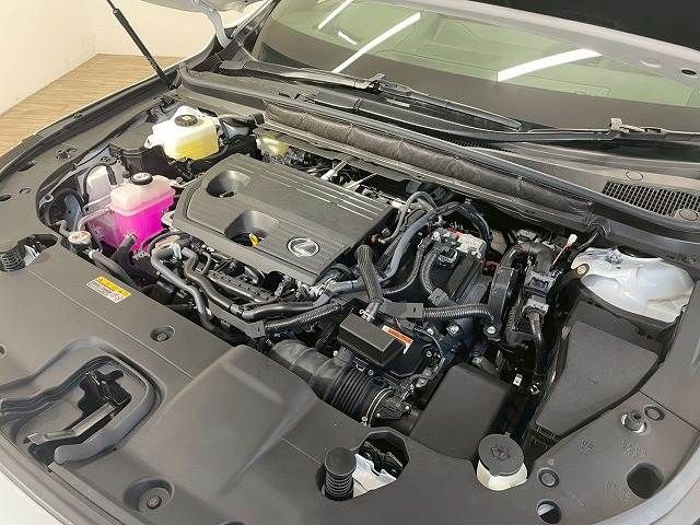 TOYOTA LEXUS RX350H 2023 Image 31