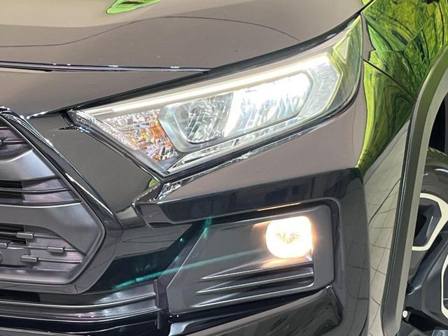 TOYOTA RAV4 4WD 2019 Image 31