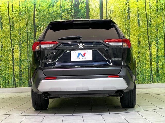 TOYOTA RAV4 4WD 2019 Image 31