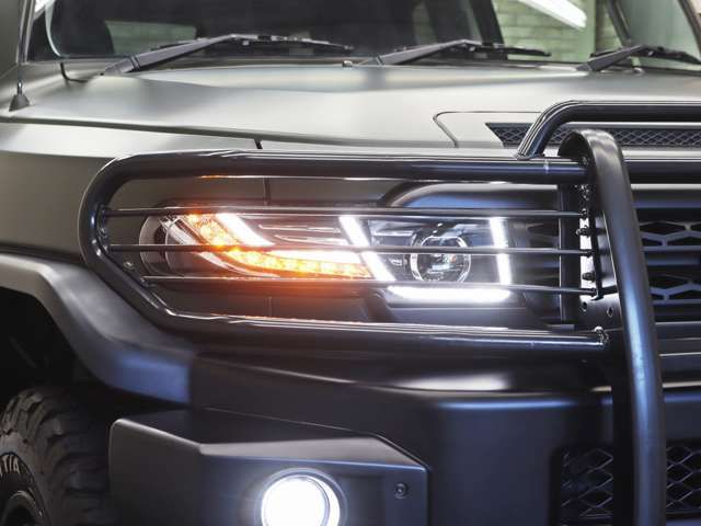 TOYOTA FJ CRUISER 4WD 2011 Image 31