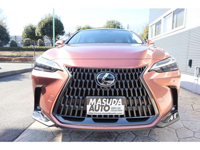 TOYOTA LEXUS NX350H AWD 2025 Image 31