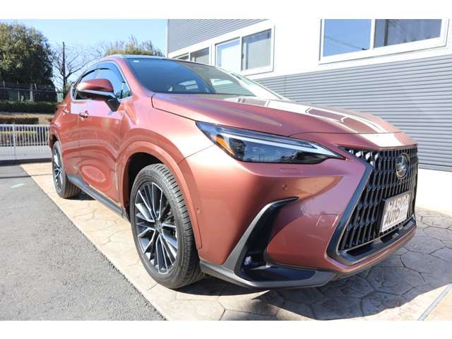TOYOTA LEXUS NX350H AWD 2025 Image 31