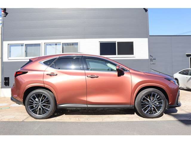 TOYOTA LEXUS NX350H AWD 2025 Image 31