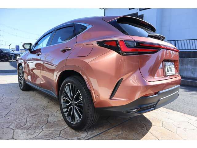 TOYOTA LEXUS NX350H AWD 2025 Image 31