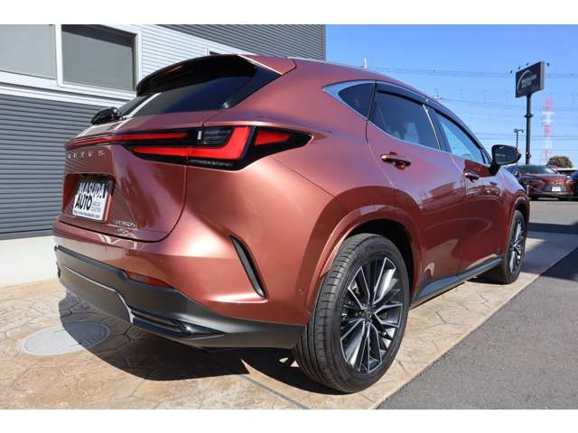 TOYOTA LEXUS NX350H AWD 2025 Image 31