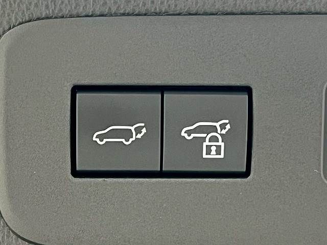 TOYOTA LANDCRUISER 250 2024 Image 31