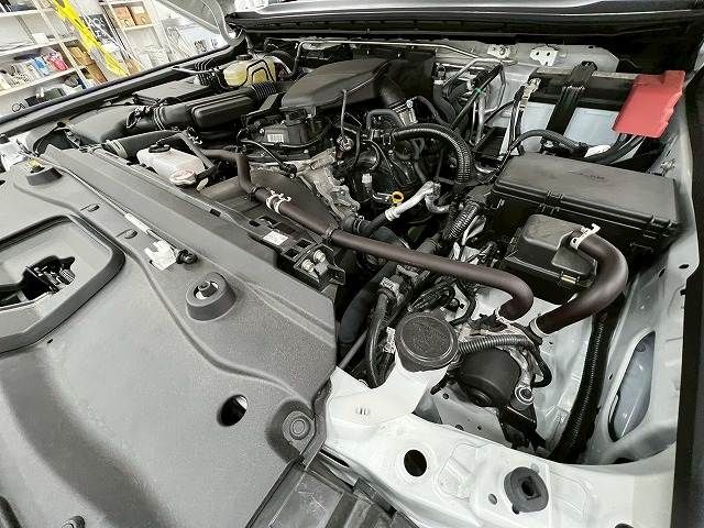 TOYOTA LANDCRUISER 250 2024 Image 31