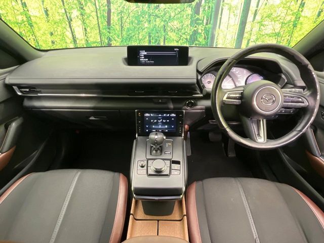 MAZDA MX-30 2021 Image 31