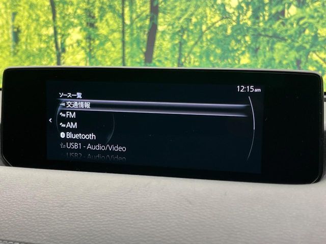 MAZDA MX-30 2021 Image 31