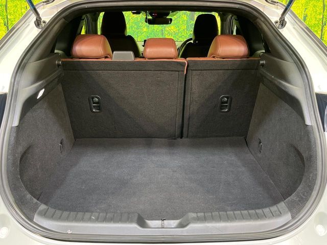 MAZDA MX-30 2021 Image 31