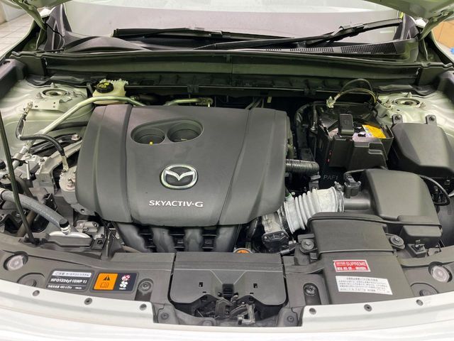 MAZDA MX-30 2021 Image 31