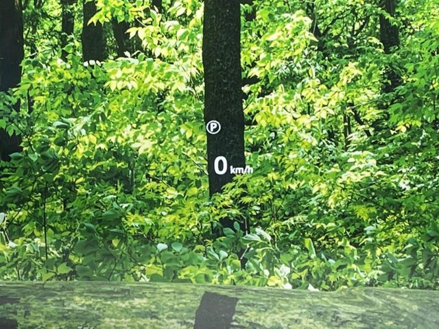 ROVER RANGE 2025 Image 31