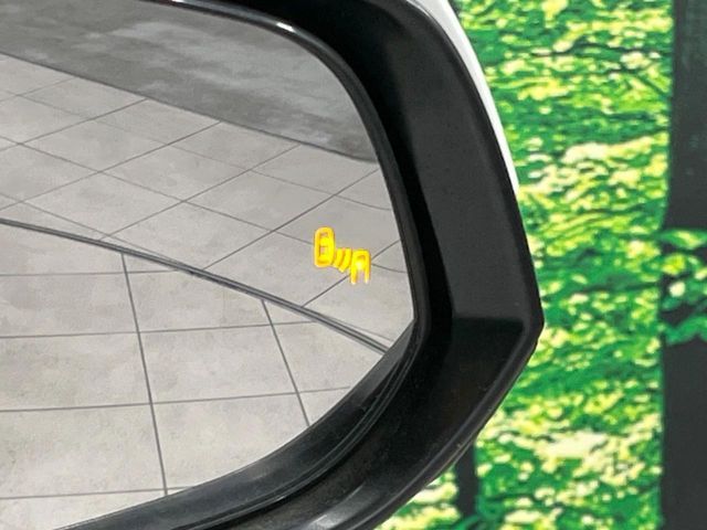 TOYOTA ALPHARD 2020 Image 31