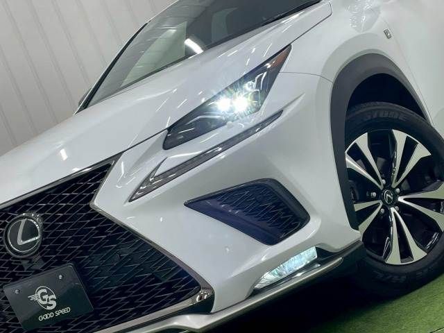 TOYOTA LEXUS NX300 2019 Image 31