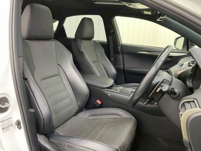 TOYOTA LEXUS NX300 2019 Image 31