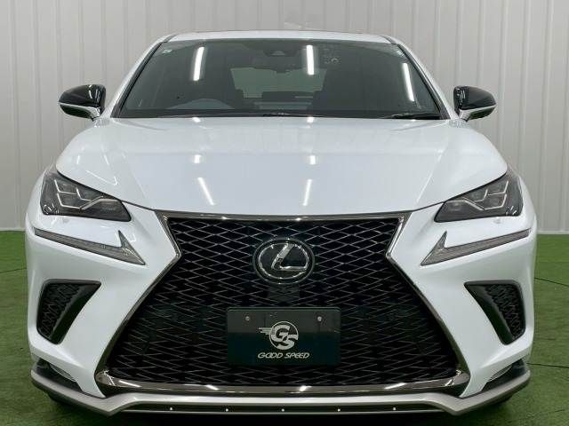 TOYOTA LEXUS NX300 2019 Image 31