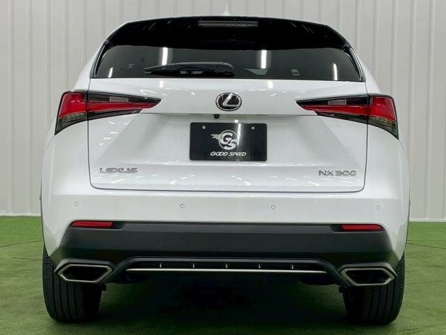 TOYOTA LEXUS NX300 2019 Image 31