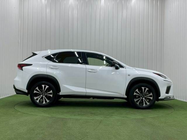 TOYOTA LEXUS NX300 2019 Image 31