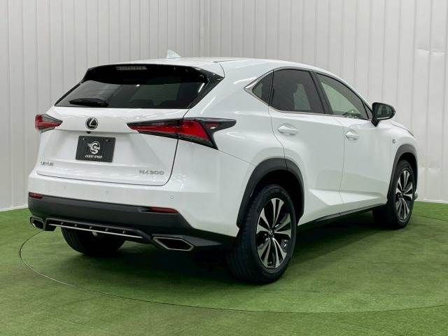 TOYOTA LEXUS NX300 2019 Image 31