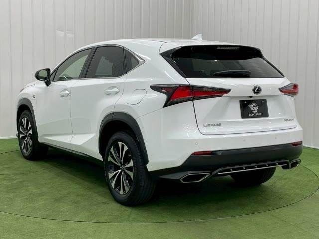TOYOTA LEXUS NX300 2019 Image 31