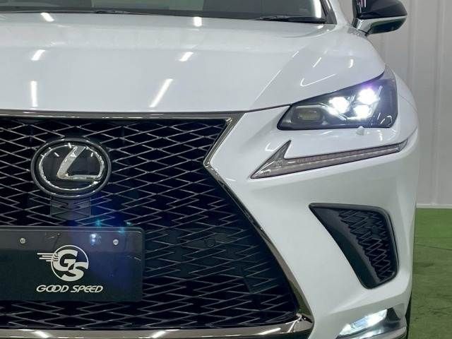 TOYOTA LEXUS NX300 2019 Image 31