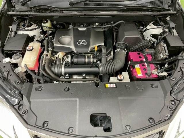 TOYOTA LEXUS NX300 2019 Image 31