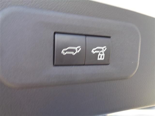 TOYOTA LEXUS NX350H 2023 Image 31