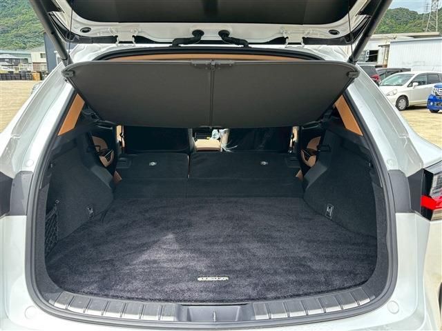 TOYOTA LEXUS NX350H 2023 Image 31