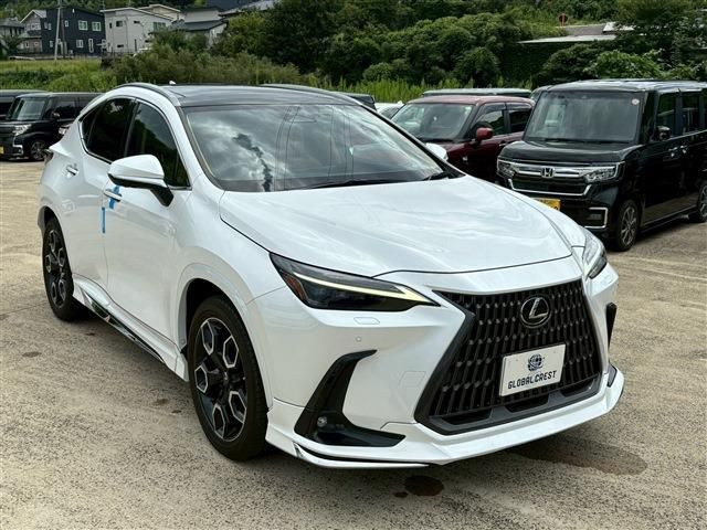 TOYOTA LEXUS NX350H 2023 Image 31