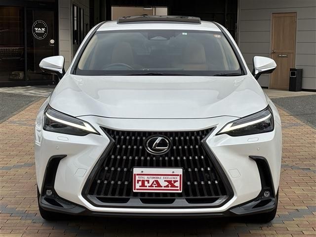 TOYOTA LEXUS NX350H 2023 Image 31