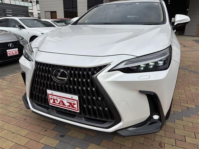 TOYOTA LEXUS NX350H 2023 Image 31