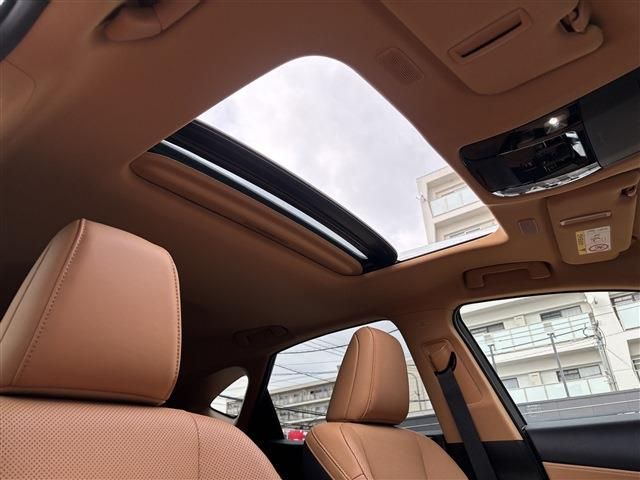 TOYOTA LEXUS NX350H 2023 Image 31