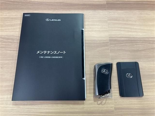 TOYOTA LEXUS NX350H 2023 Image 31