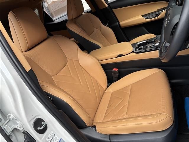 TOYOTA LEXUS NX350H 2023 Image 31