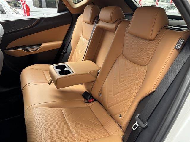 TOYOTA LEXUS NX350H 2023 Image 31